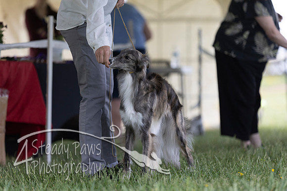 SSSShow1_328