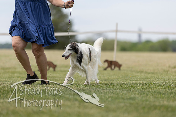 SSSShow1_493