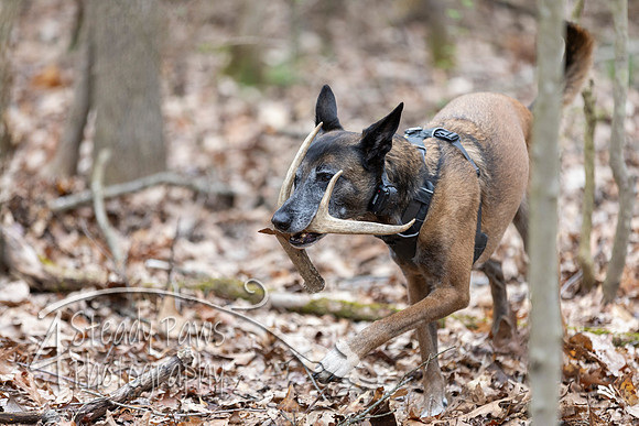 ShedHuntSat143