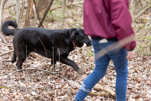 ShedHuntSat165