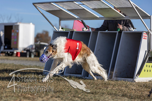 AutumnDerby40