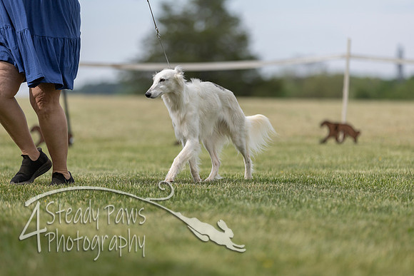 SSSShow1_435