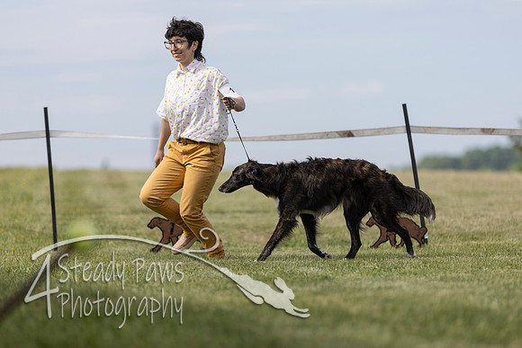 SSSShow1_241
