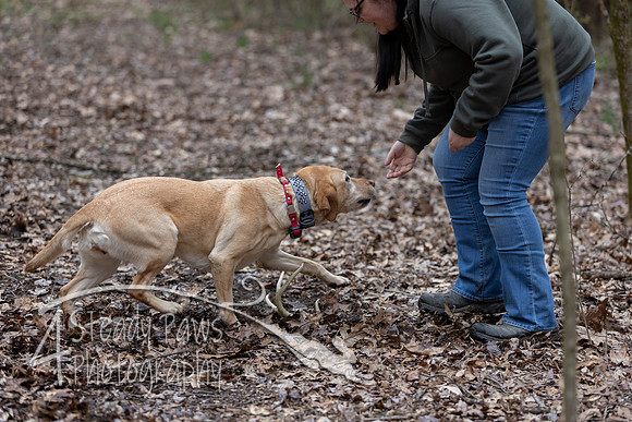 ShedHuntSat52