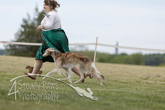 SSSShow1_449