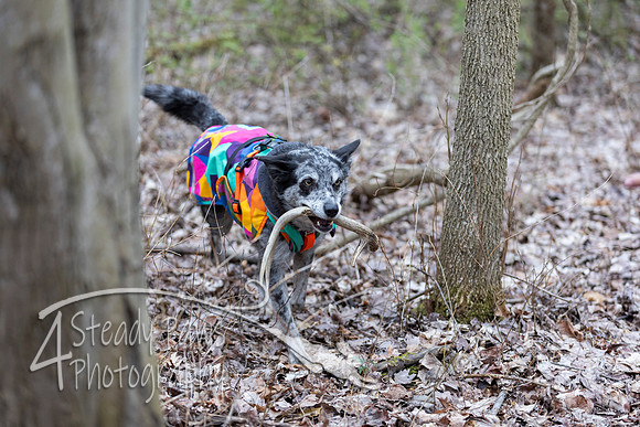 ShedHuntSat138