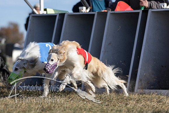 AutumnDerby100