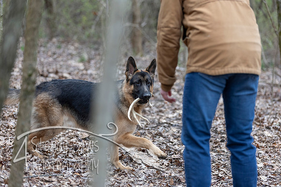 ShedHuntSat175