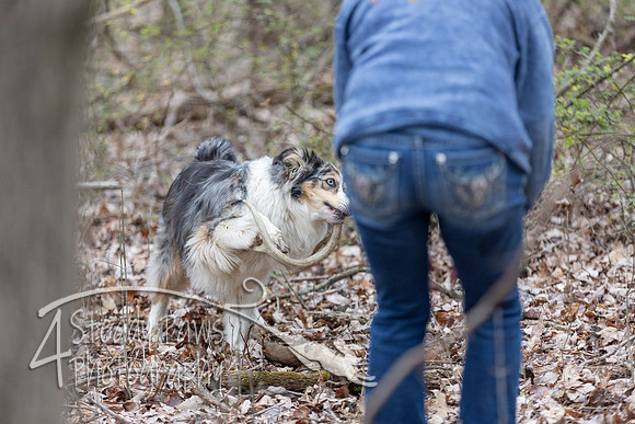 ShedHuntSat115