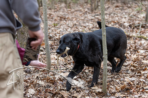 ShedHuntSat157
