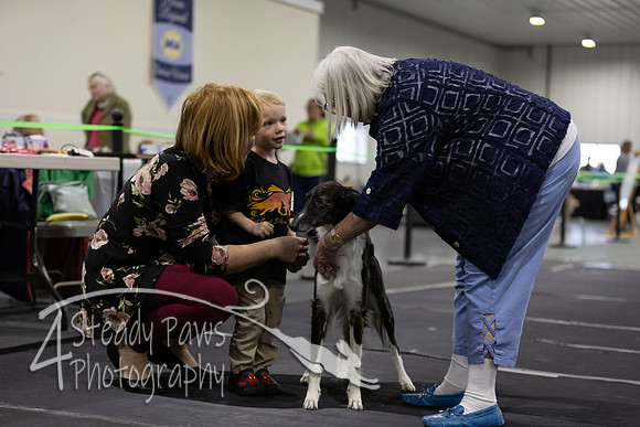 ECSShow16