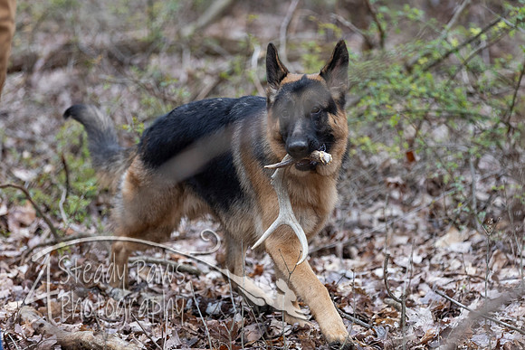 ShedHuntSat182