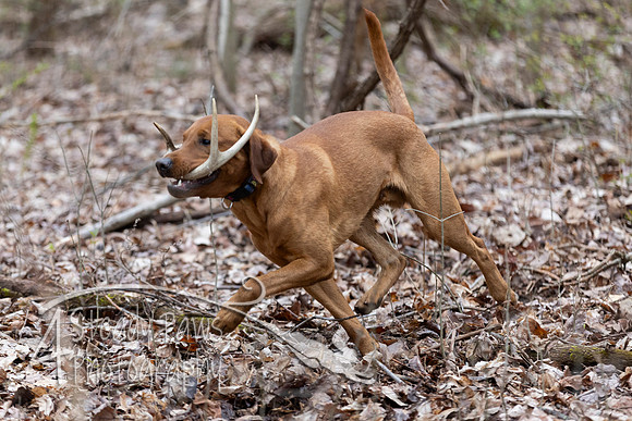ShedHuntSat200