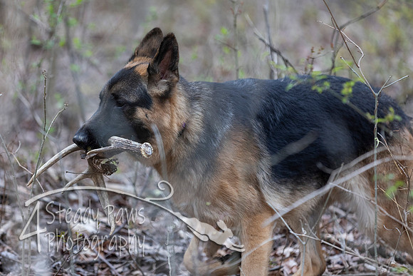ShedHuntSat176