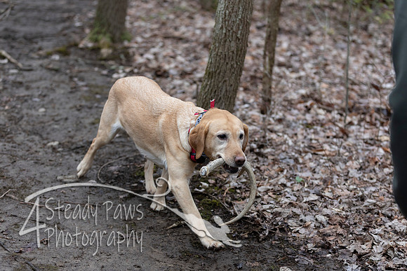 ShedHuntSat58