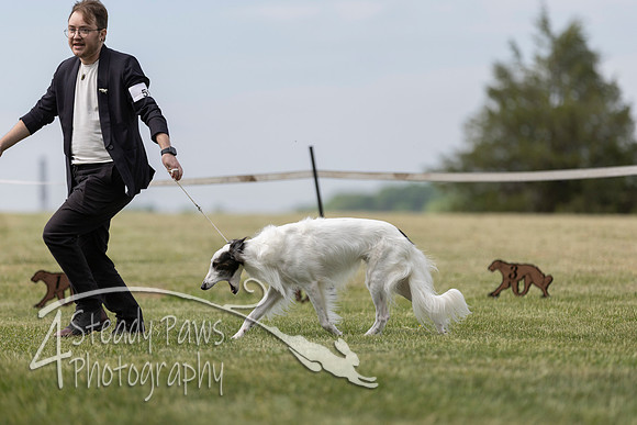 SSSShow1_522