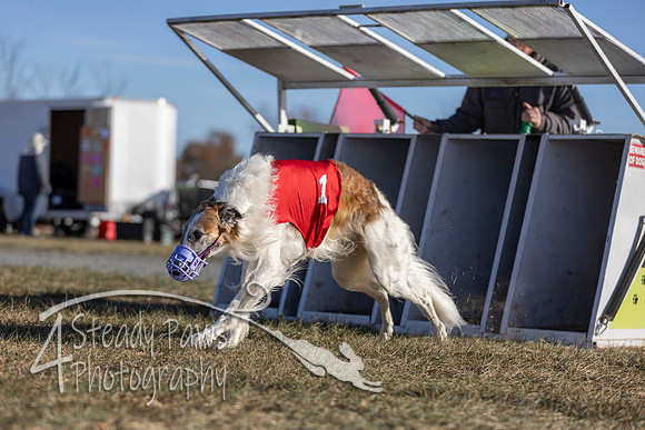 AutumnDerby41