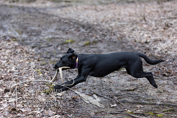 ShedHuntSat40