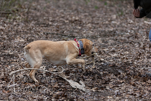 ShedHuntSat51