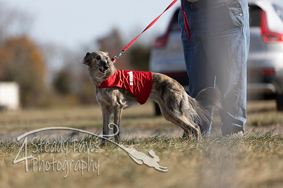 AutumnDerbyCandid08