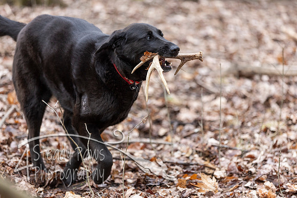 ShedHuntSat160