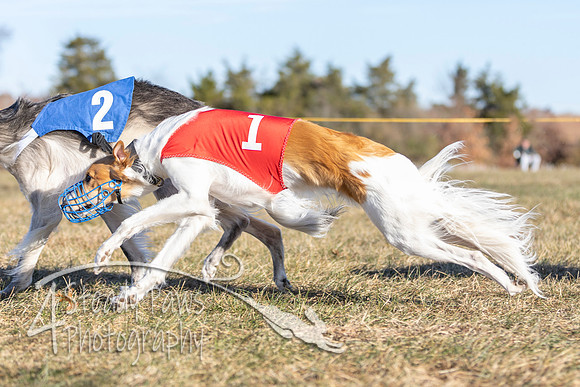 AutumnDerby12