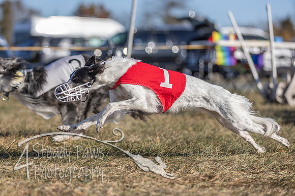 AutumnDerby33