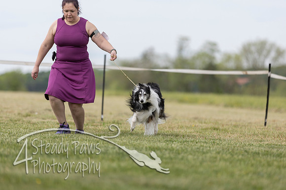 SSSShow1_419