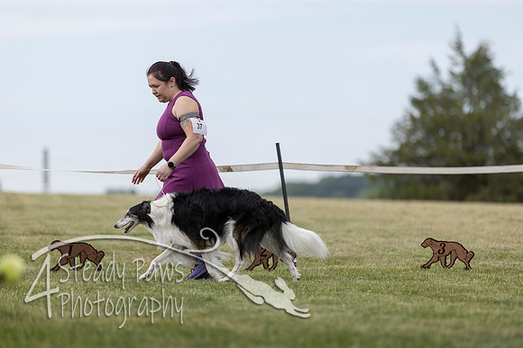 SSSShow1_401