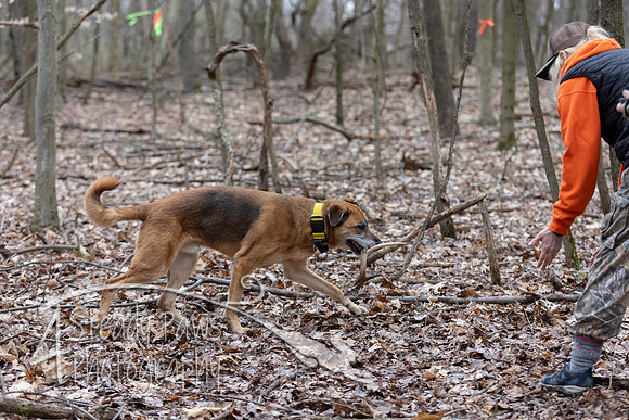 ShedHuntSat21