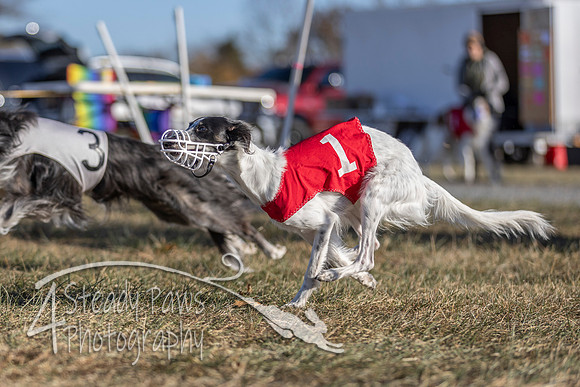 AutumnDerby30