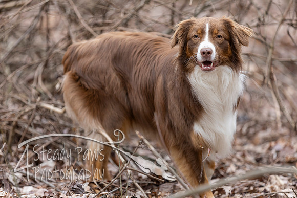 ShedHuntSat235