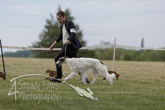 SSSShow1_477