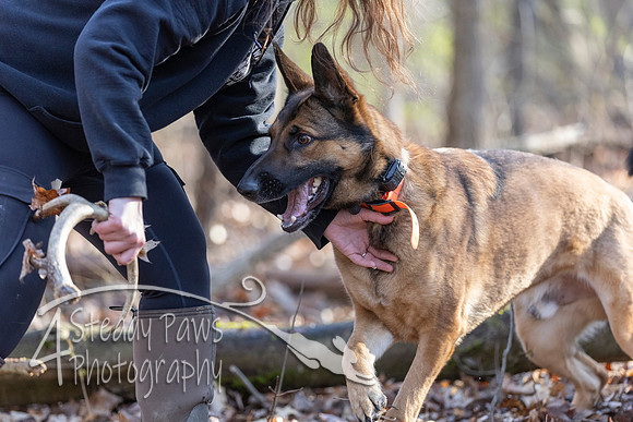 ShedHuntSat32