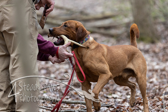 ShedHuntSat199