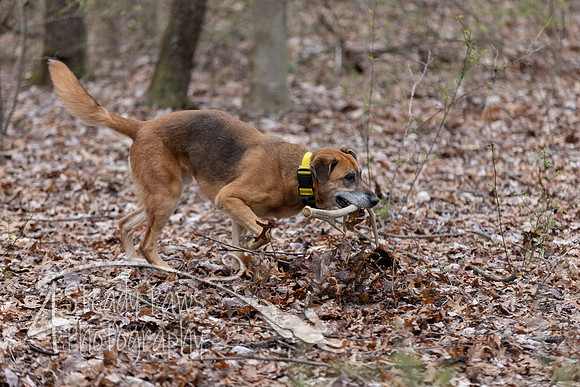 ShedHuntSat16