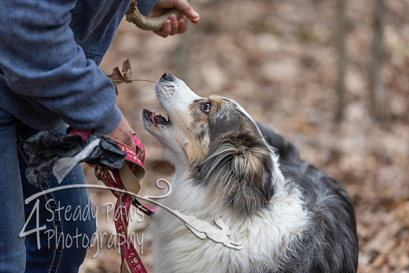ShedHuntSat106