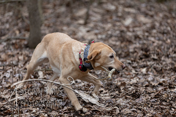 ShedHuntSat48
