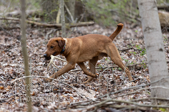 ShedHuntSat192