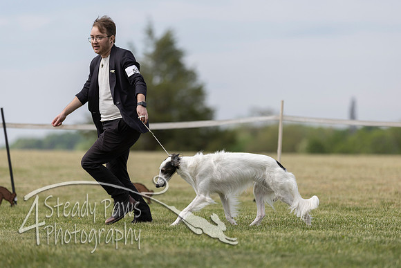SSSShow1_519