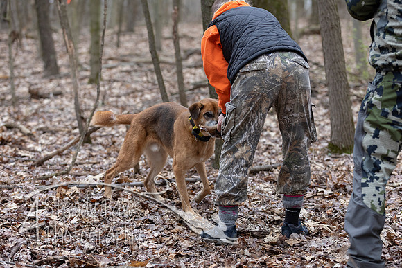 ShedHuntSat24